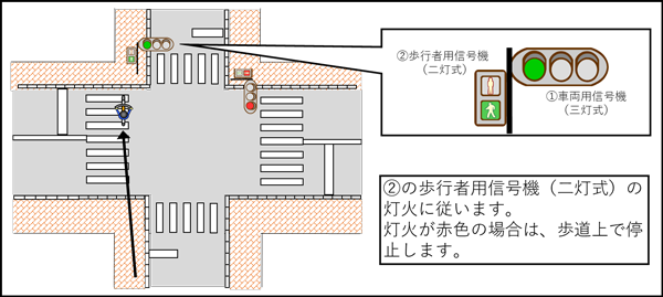 「歩行者用信号機(二灯式)に「歩行者・自転車専用」の標示がない場合」の画像