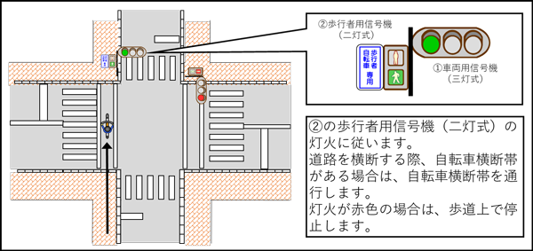 「歩行者用信号機(二灯式)に「歩行者・自転車専用」の標示がある場合」の画像